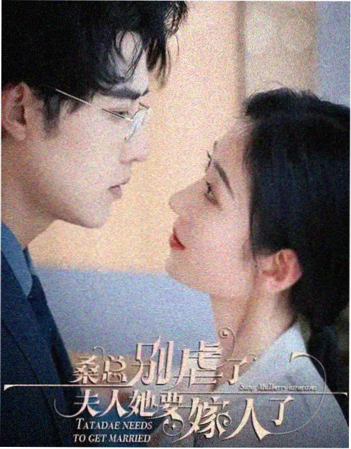 城南旧食堂 治愈系国产剧免费观看